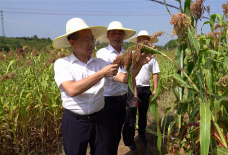 衡阳市农科院专家组一行来常调研乡村产业振兴工作