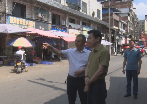 【视频】邹雄杰到宜阳街道调研居民自建房安全隐患排查整治工作