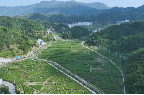 【视频】解读市委经济工作会议精神（五） 在加快绿色崛起上勇担使命 