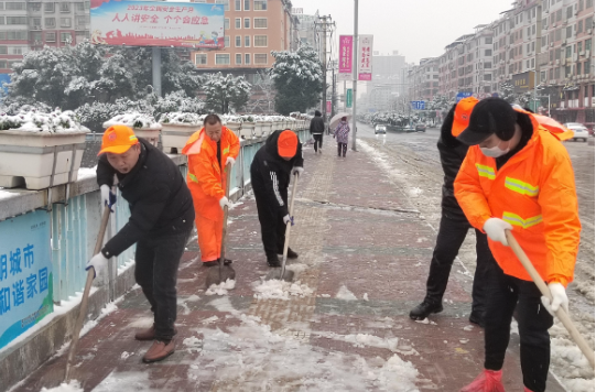 【视频】宜阳环卫所：铲冰除雪 护航平安