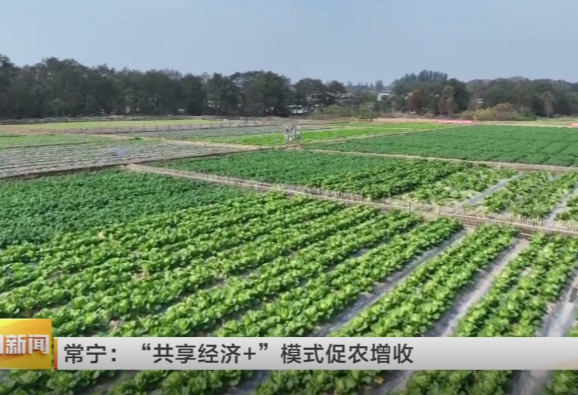 常宁市融媒体中心采写的稿件在湖南卫视《午间新闻》播出
