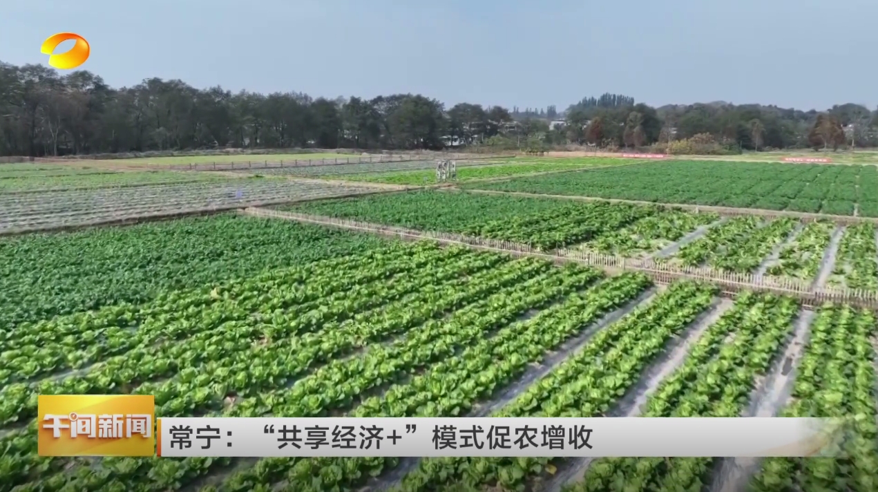 微信截图_20241212144839.png