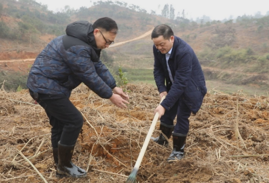 【视频】吴乐胜率市级领导参加义务植树 号召大力开展造林绿化行动建设美丽新常宁