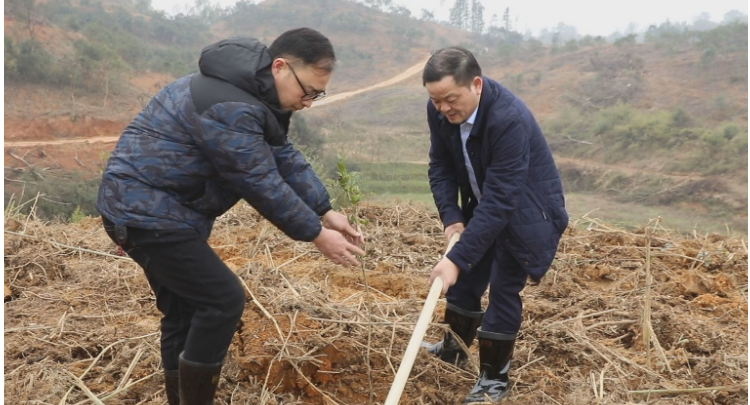 常宁新闻网_常宁新闻_主流媒体,党政门户