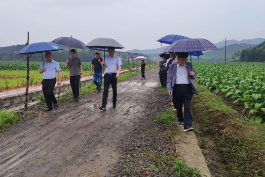 【视频】省农业农村厅来常调研配合中央环保督察有关工作   