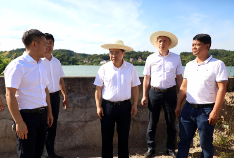 【视频】罗卫华督导防汛备汛、地质灾害防治、群众身边不正之风和腐败问题集中整治工作 抓紧抓实抓细各项工作 全力以赴保护好人民群众生命财产安全