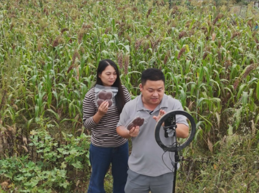 【视频】【我的常宁 我的奋斗】“湘妹林林”驾“云”来 带火乡愁“辣”产业