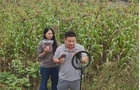 【我的常宁 我的奋斗】“湘妹林林”驾“云”来  带火乡愁“辣”产业