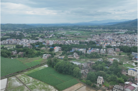 【视频】最是乡音解乡愁●我的家乡在变化（283）船山文脉润乡土 艾草黄精织就西南村振兴锦缎