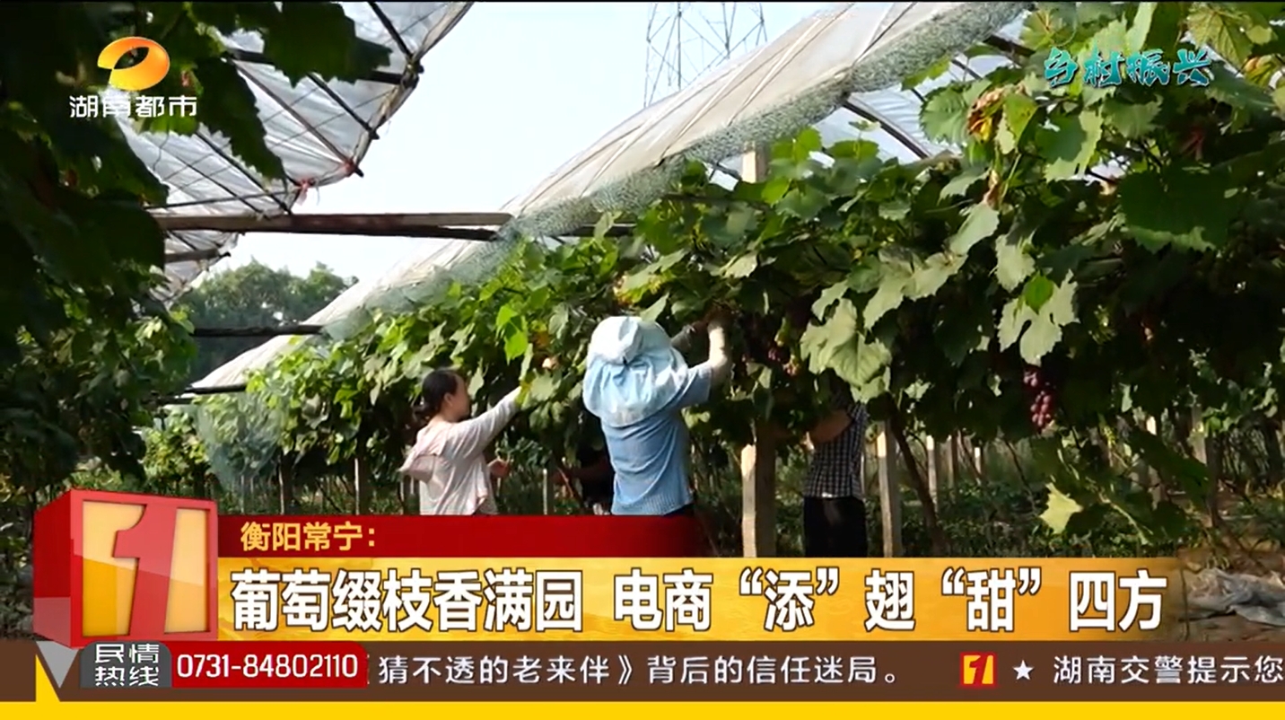 微信截图_20250715093010.png