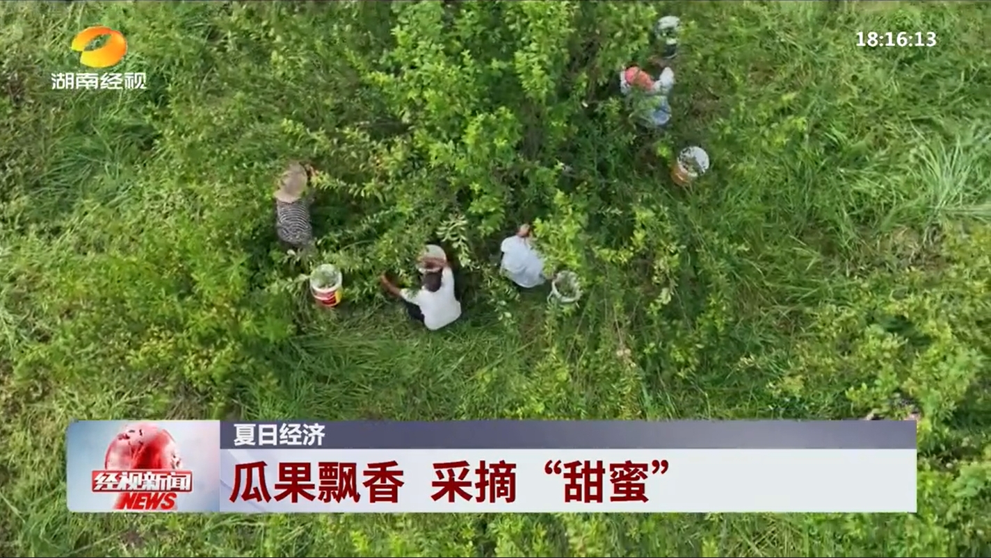 微信截图_20250715092507.png