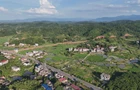 【视频】最是乡音解乡愁●我的家乡在变化（286）兰江乡应伏村：党建引领 “应伏四宝” 铺就乡村产业振兴路