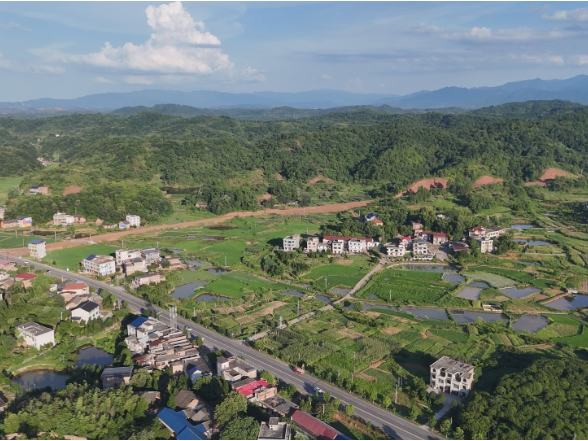 【视频】最是乡音解乡愁●我的家乡在变化（286）兰江乡应伏村：党建引领 “应伏四宝” 铺就乡村产业振兴路