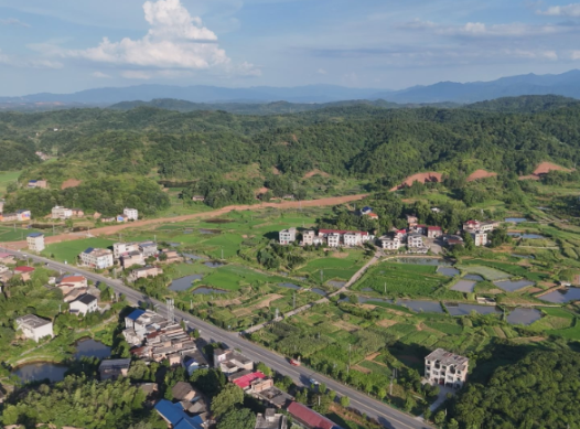 【视频】最是乡音解乡愁●我的家乡在变化（286）兰江乡应伏村：党建引领 “应伏四宝” 铺就乡村产业振兴路