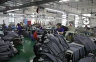 【视频】康杰服饰：溢价30% 抢占价值新高地