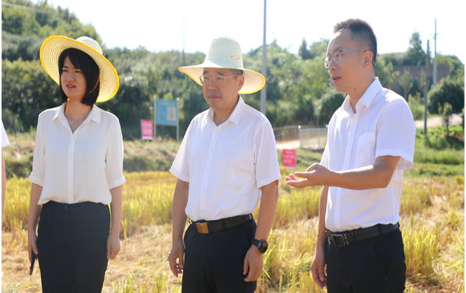 【视频】罗卫华在蓬塘乡调研时强调：守底线创亮点 以实干实绩推动高质量发展