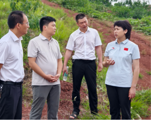 邓艳红到兰江乡调研巩固拓展脱贫攻坚成果同乡村振兴有效衔接工作