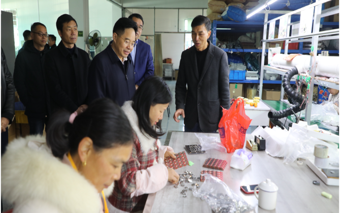 【视频】罗卫华到部分乡镇调研基层党建与农业农村工作