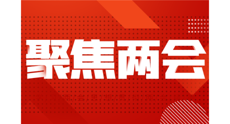 一图读懂•人大常委会工作报告