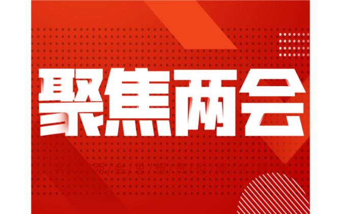 一图读懂•人大常委会工作报告
