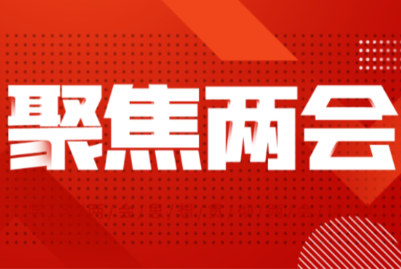 一图读懂•人大常委会工作报告