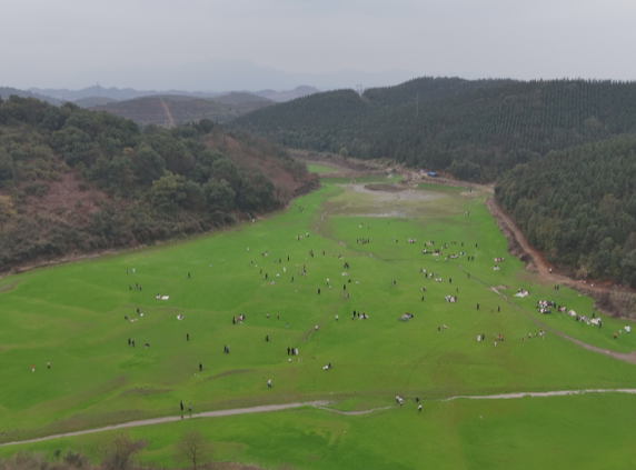 【视频】常宁版“绿野仙踪”:春日草原 治愈上线