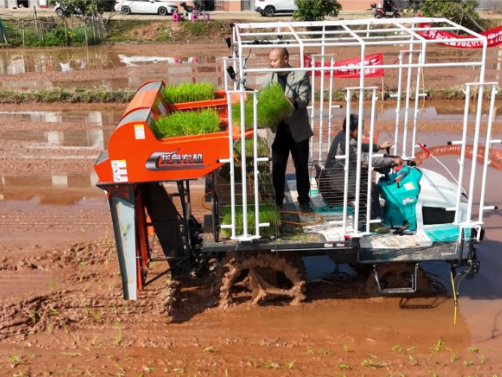 春耕备耕正当时丨常宁：高速抛秧机“秀技”  效率是人工十几倍