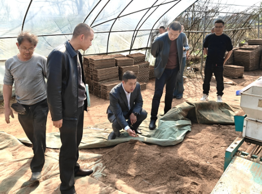 曲潭街道:督春耕 保生产 稳增收