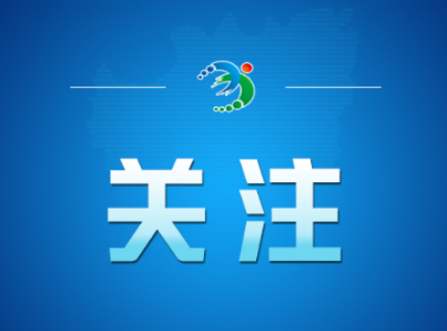 【视频】春日野菜香 踏青寻鲜乐享田园好时光