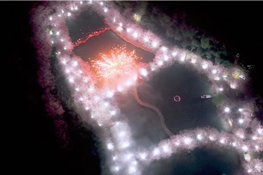 【视频】湖南常宁：夜樱映铁花 春日盛宴醉游人