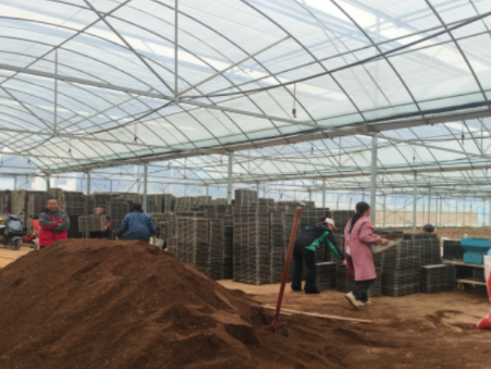 水口山镇：严守底线促转型 “受限田” 上绘 “丰” 景