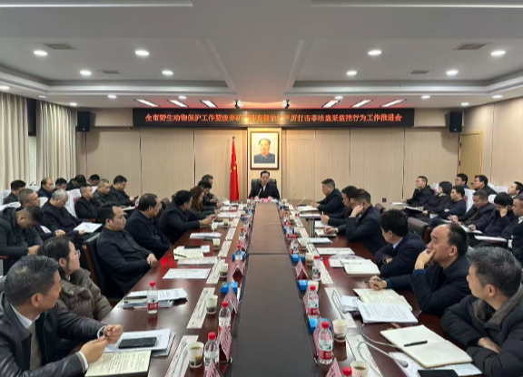 【视频】常宁：严管野生动物保护 重拳整治废弃矿硐 