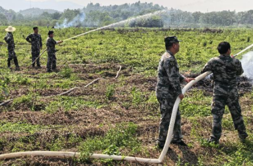罗桥镇：以练筑防  筑牢春季防火安全网