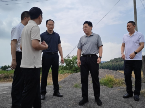 罗卫华“四不两直”督导安全生产和防汛备汛工作