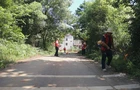 【视频】胜桥镇竹和村：清杂草除隐患 畅通村民出行路