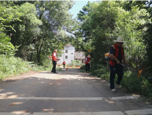 【视频】胜桥镇竹和村:清杂草除隐患 畅通村民出行路
