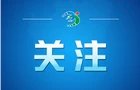 关于衡阳市深化扫黑除恶专项斗争公开征集涉黑涉恶举报线索的通告