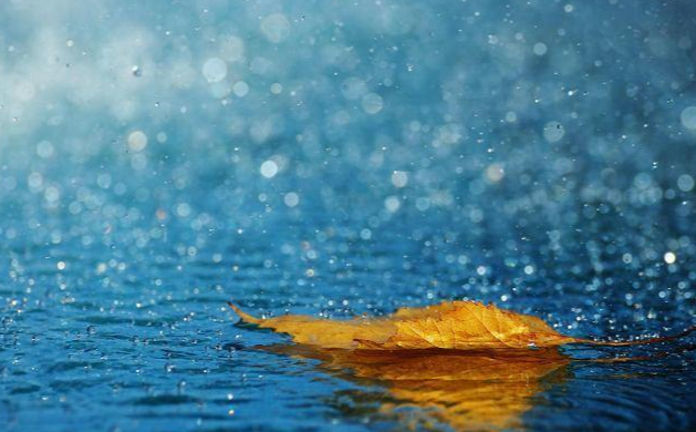 注意！冷空气“出手”降温啦！连续阴雨即将上线