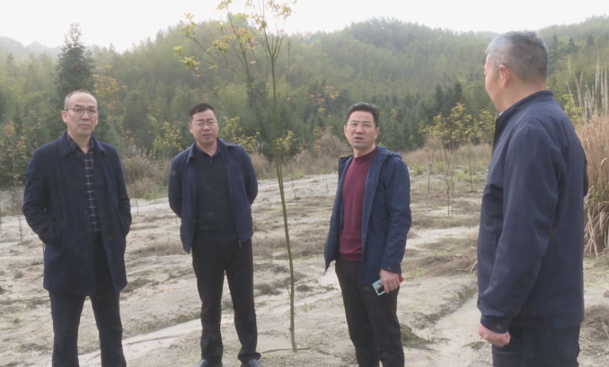 刘达祥：做好矿区客土覆盖 加快推进大义山自然保护区生态复绿