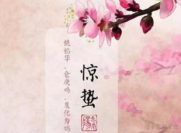 今日惊蛰丨微雨众卉新 一雷惊蛰始