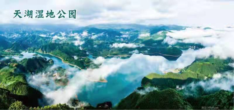 微信图片_20210611180536.jpg 微信图片_20210611180536.jpg