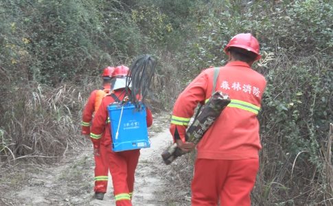 【视频】西岭镇：强化应急队伍建设 筑牢森林“防火墙”