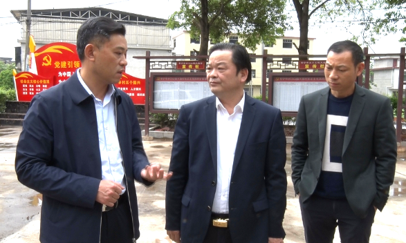 【视频】吴乐胜督导调研城乡治理标准化和春耕生产工作