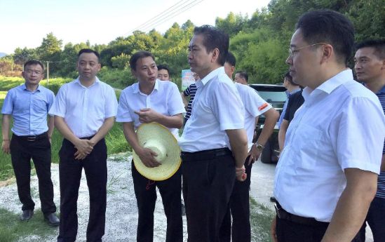 【视频】省自然资源厅来常督导耕地保护工作