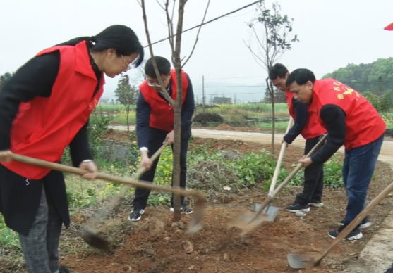 【视频】西岭镇：植树添新绿  美化乡村环境