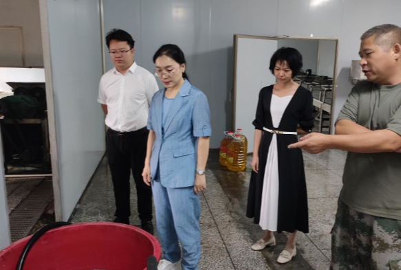 【视频】市领导到兰江乡督导安全生产 田长制 林长制工作