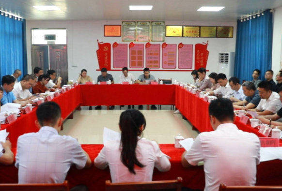 【视频】衡阳市政府到荫田镇联塘村调研指导乡村振兴工作