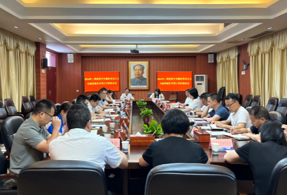 【视频】常宁持之以恒抓好整治形式主义为基层减负工作