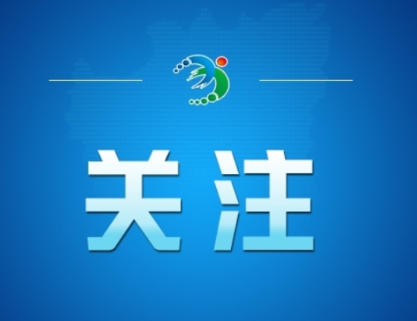 骐骥驰骋！2026年总台马年春晚吉祥物发布
