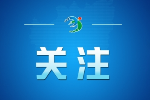 今日辟谣